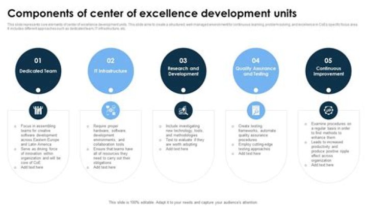 Why centre of excellence?