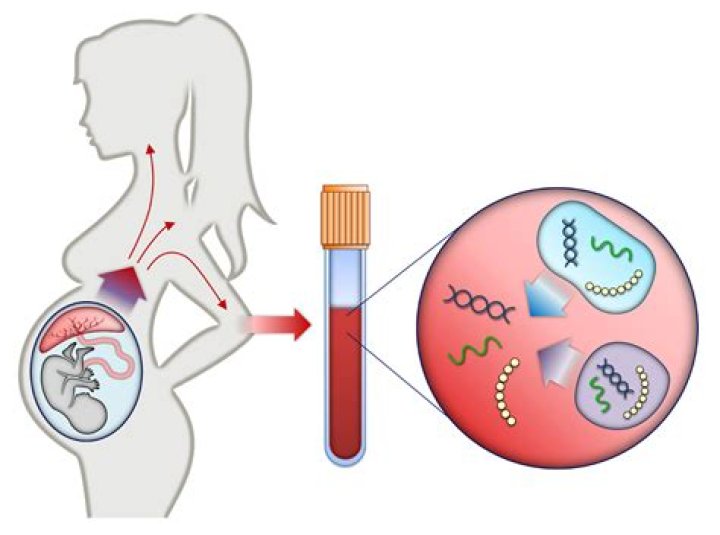 Why chromosome test in pregnancy?
