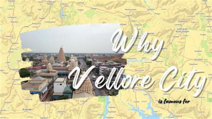 Why cmc vellore is famous?