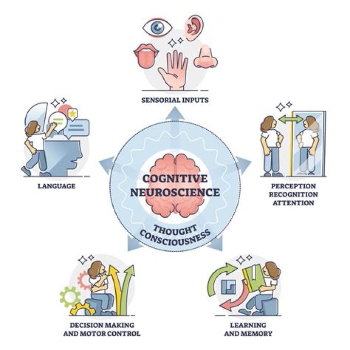 Why cognitive dissonance occurs?