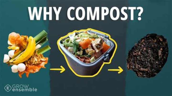 Why compost food scraps?