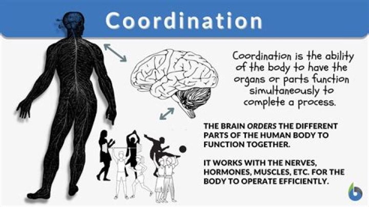 Why coordination is required?