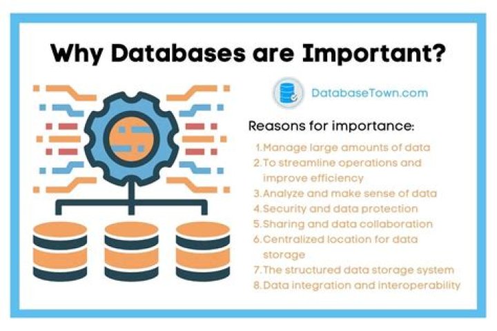 Why database is important?