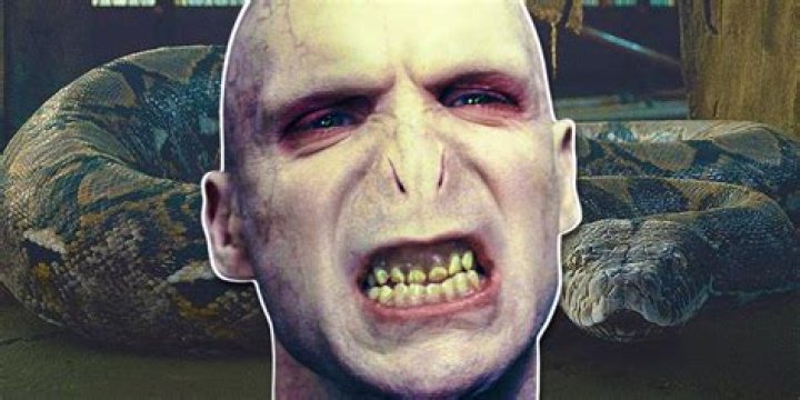Why did killing the snake kill voldemort?