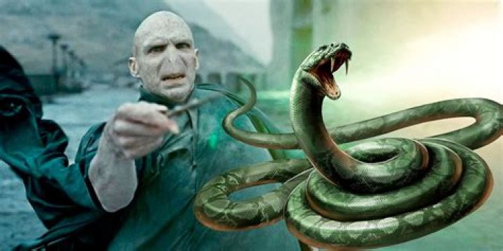 Why did voldemort die when the snake was killed?