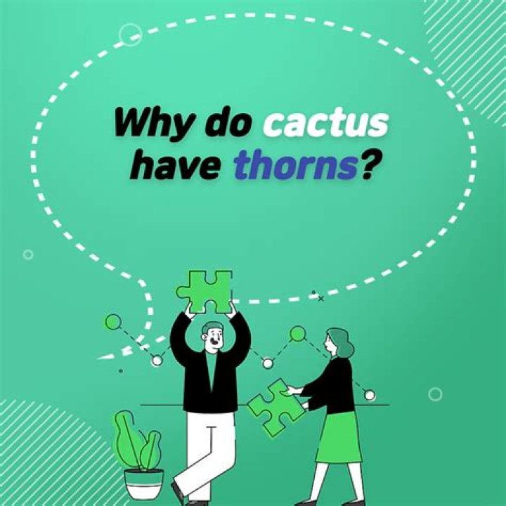 Why do cactus have thorns?