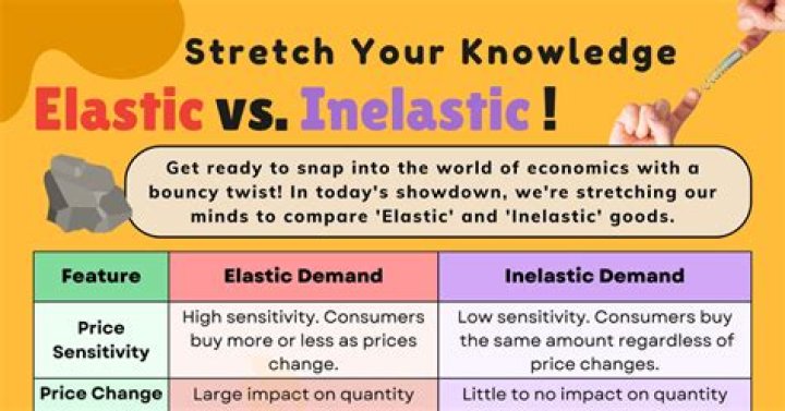 Why do economists find elasticity useful?
