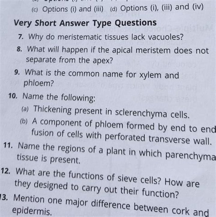 Why do meristematic tissues lack vacuoles?