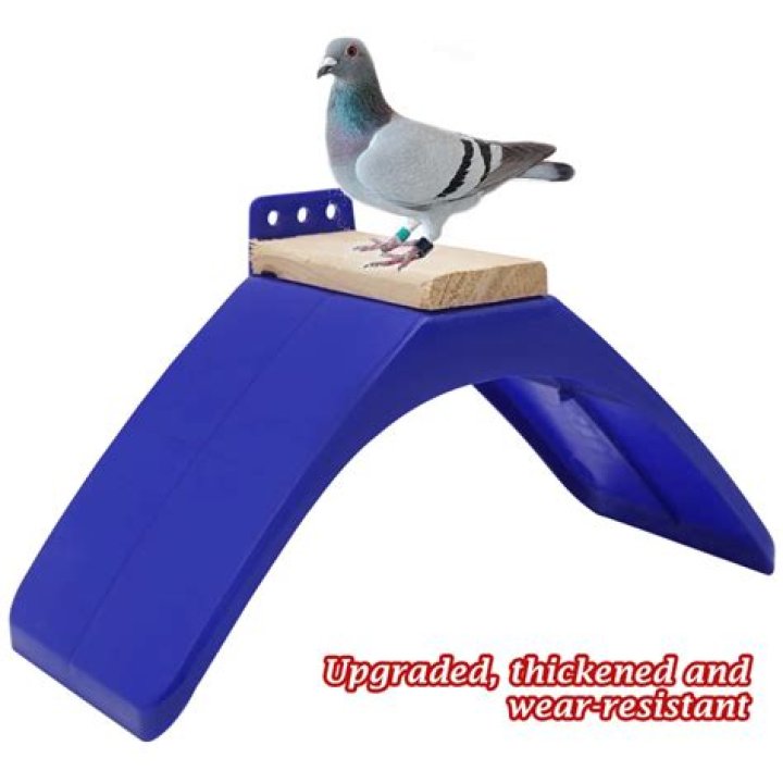 Why do models stand pigeon toed?