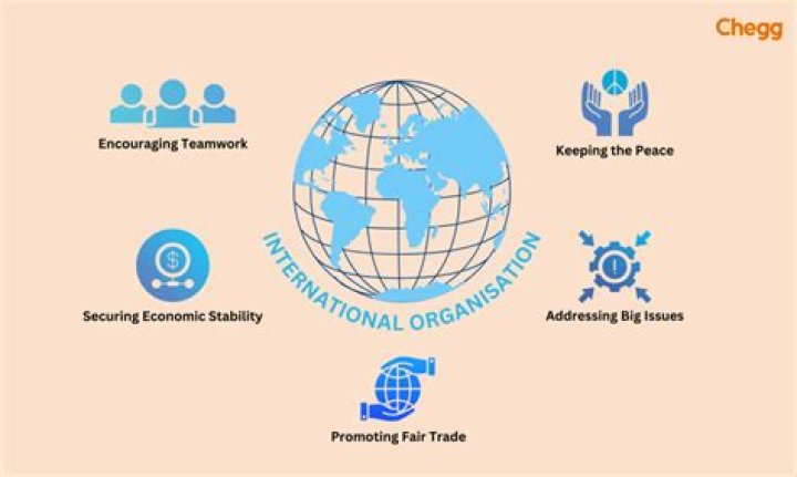 Why do organisations internationales?