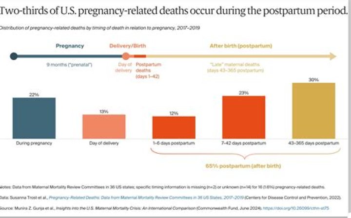 Why do pregnancies fail?