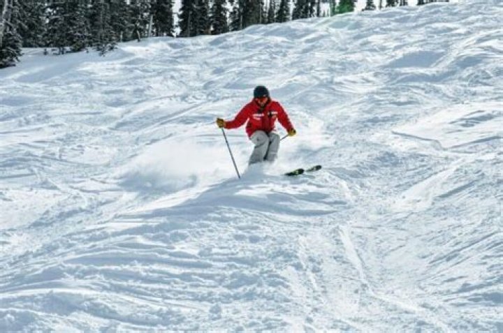 Why do skiers like moguls?