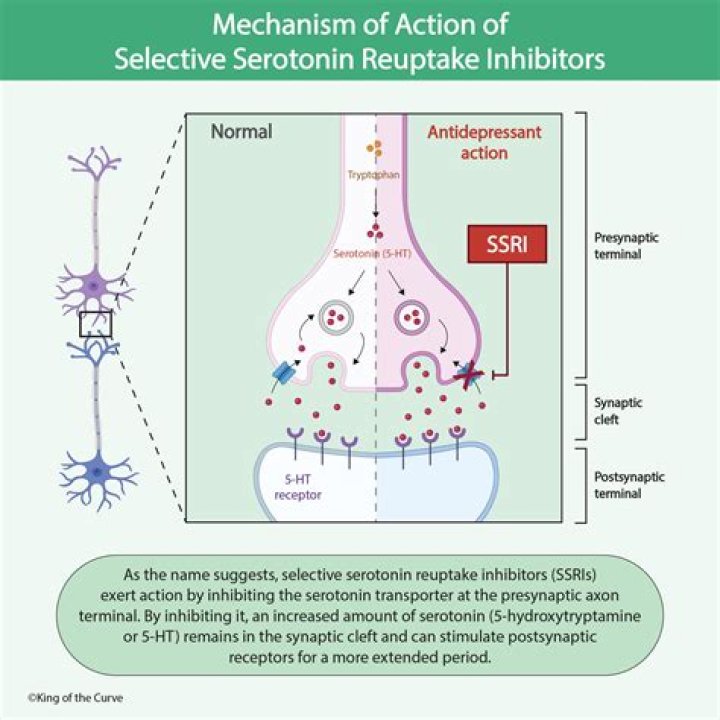 Why do some drugs inhibit biotransformation?