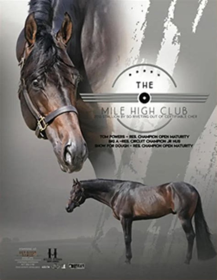 Why do they call it the mile high club?