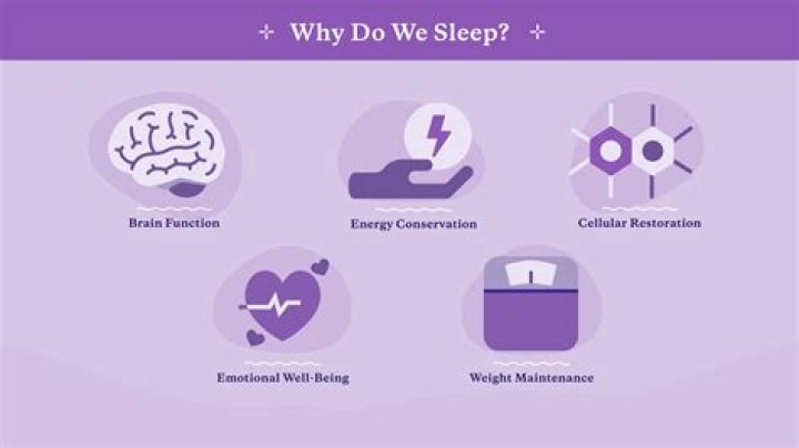 Why do we sleep?