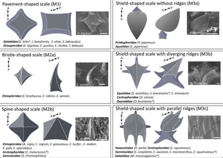 Why do we use electroforming?