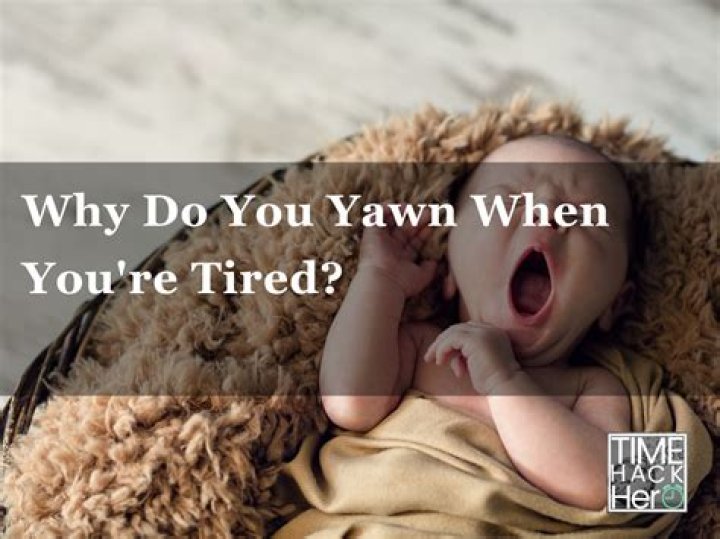 Why do you yawn when you're tired?