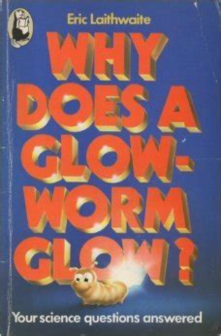Why does a glow worm glow?