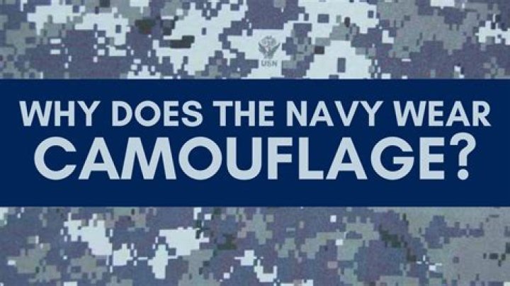 Why does camouflage work?