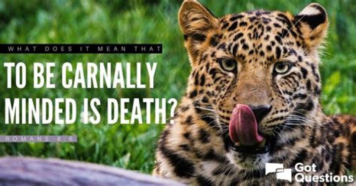 Why does carnally mean?