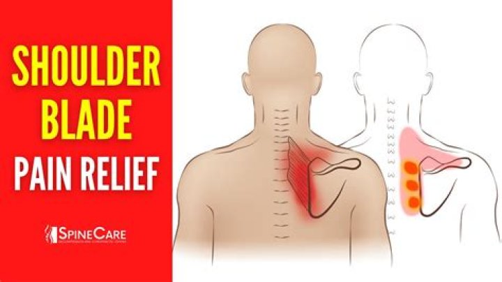 Why does my shoulder blade hurt when i breathe?