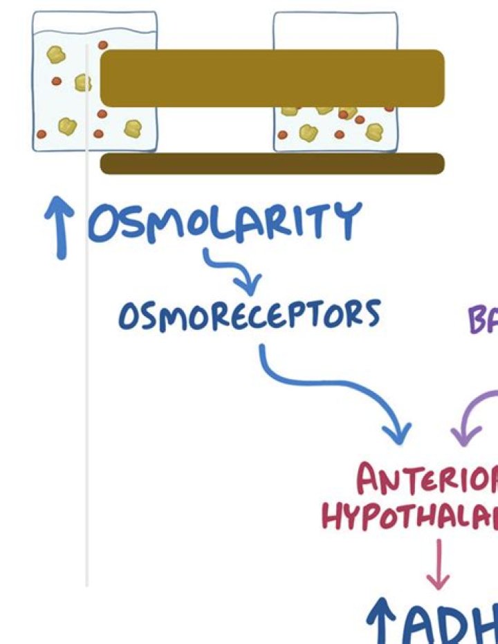 Why does osmolarity occur?