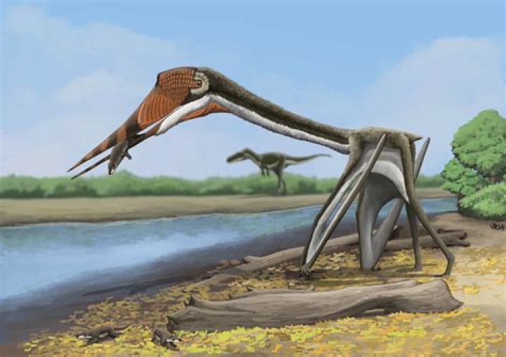 Why does pterodactyl mean?