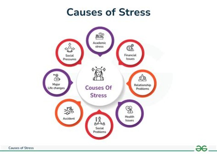 Why does stressor mean?
