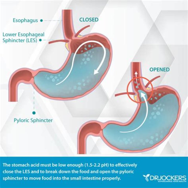 Why does the pyloric sphincter do?