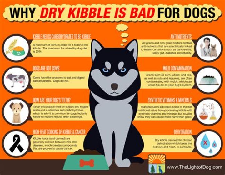 Why dry kibble is bad for dogs?