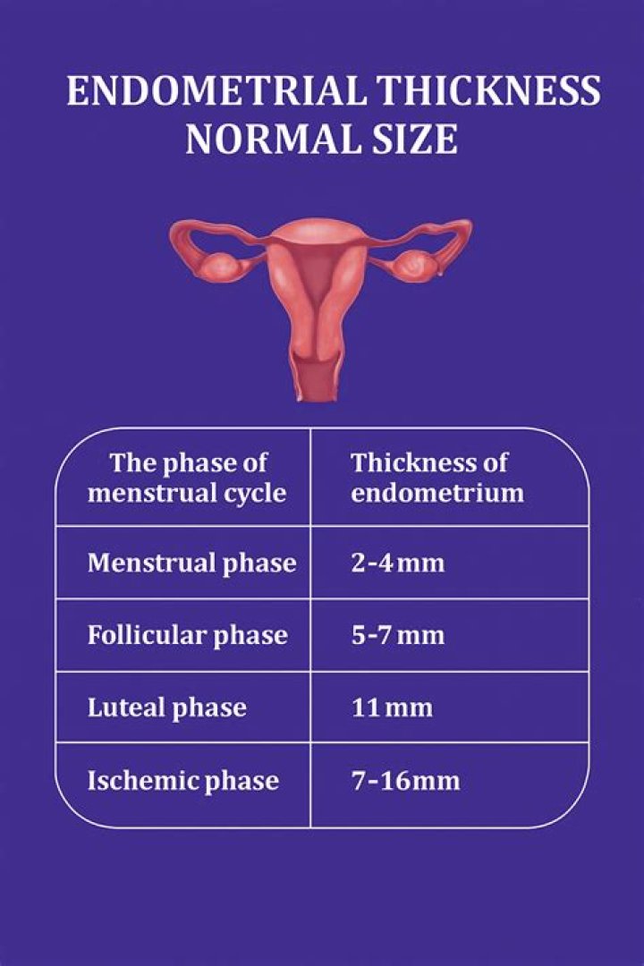 Why endometrium is not thickened?