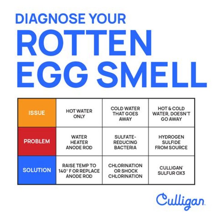 Why fart smells like rotten egg?