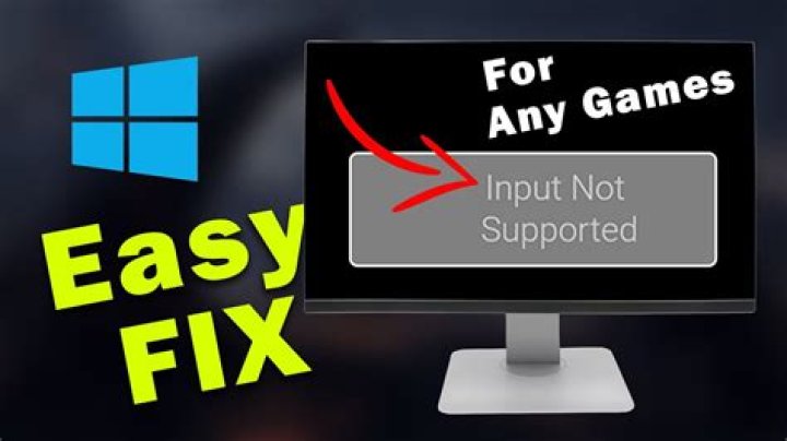 Why input not supported?