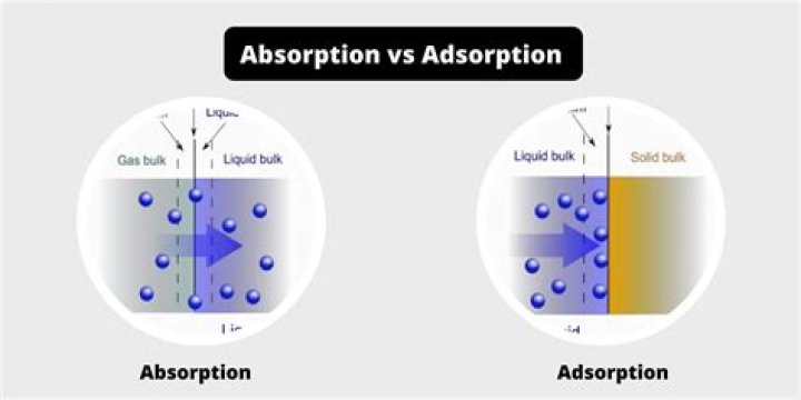 Why is absorption important?