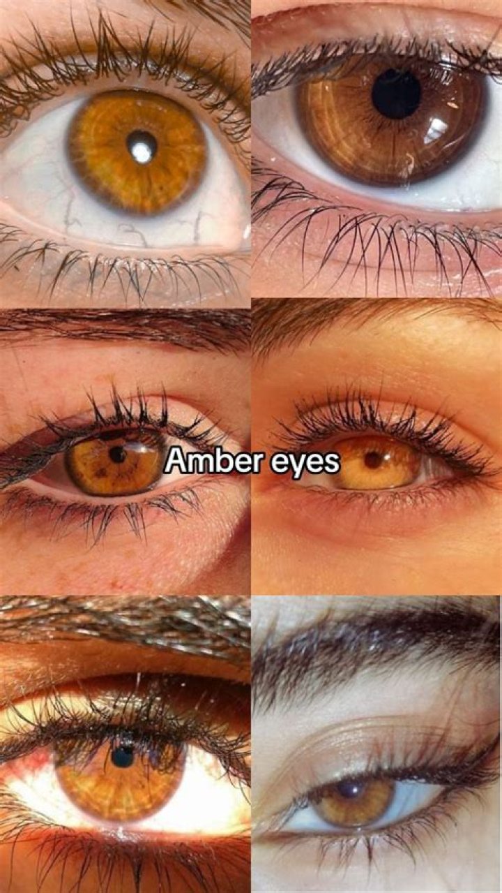 Why is amber colored?