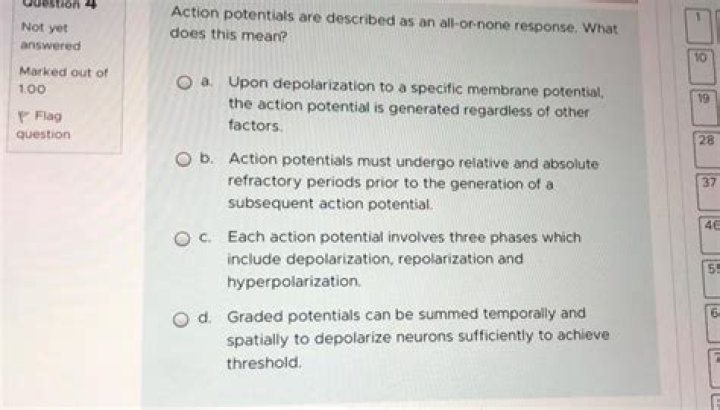 Why is an action potential an all-or-none response quizlet?