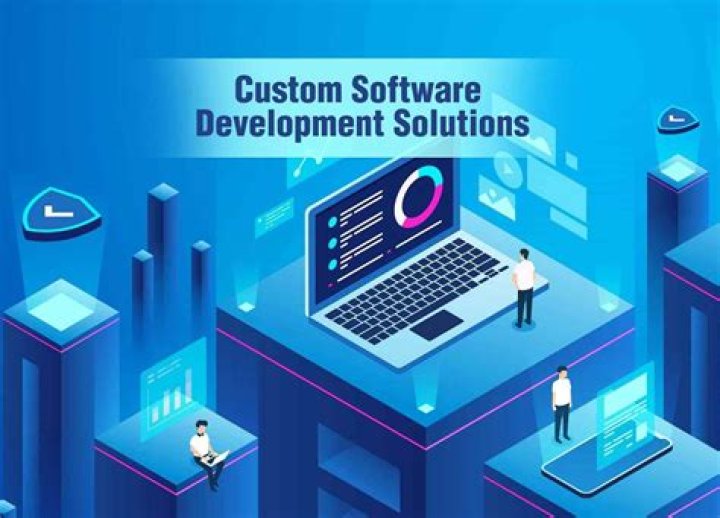 Why is customized software?