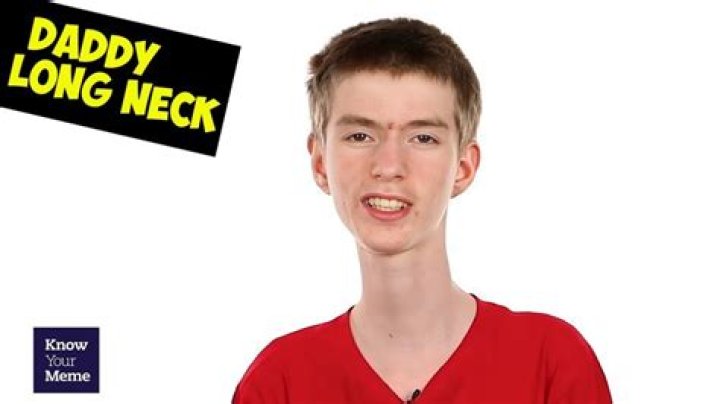 Why is daddy long neck so skinny?