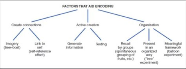 Why is elaborative rehearsal effective?