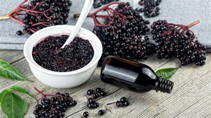 Why is elderberry bad for pregnancy?