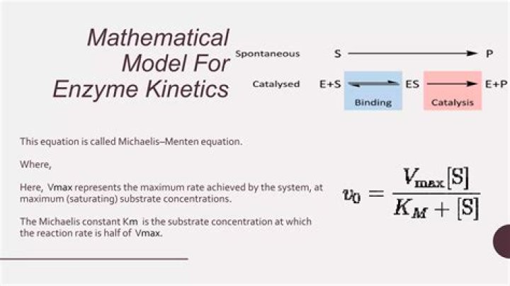 Why is enzyme kinetics important?