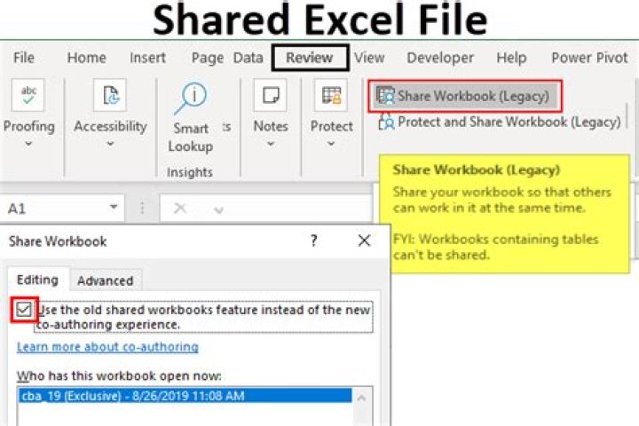 Why is excel file shared?