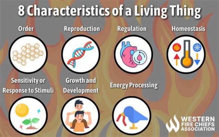 Why is fire not living?
