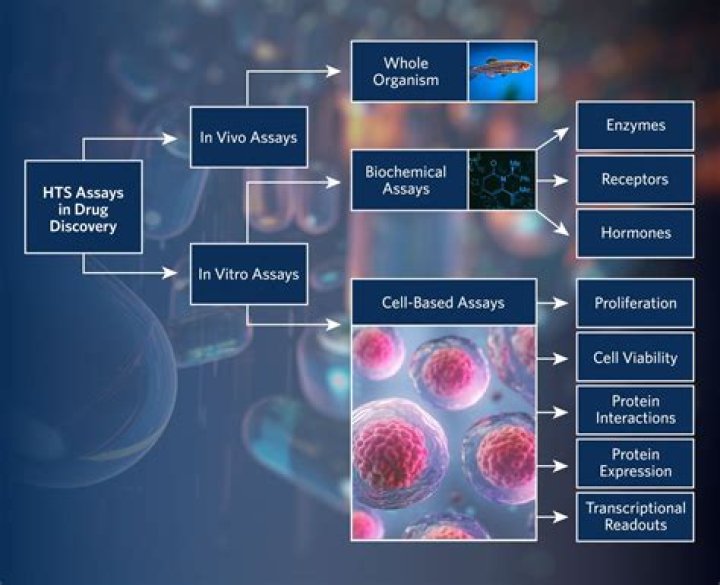 Why is hts classification important?