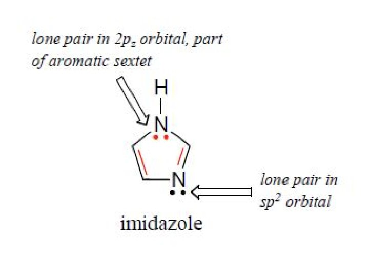 Why is imidazole basic?