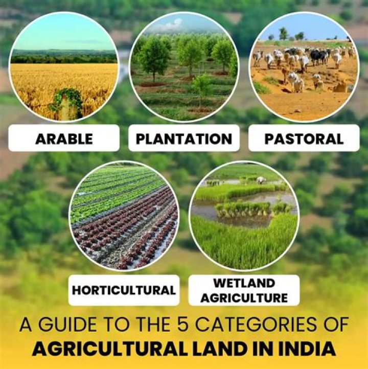 Why is india called an agriculturally important country?