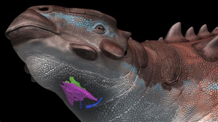 Why is it called a portmanteau?