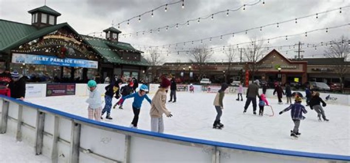 Why is it called a skating rink?
