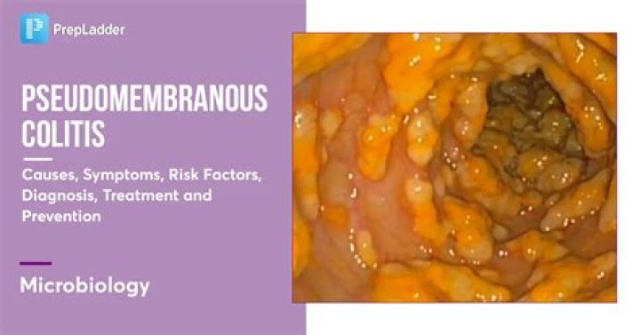 Why is it called pseudomembranous enterocolitis?