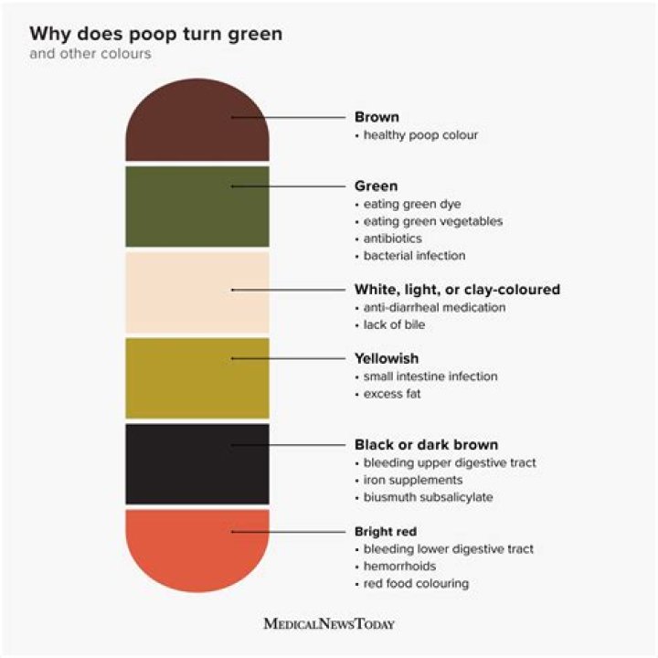 Why is my poop pale grey?